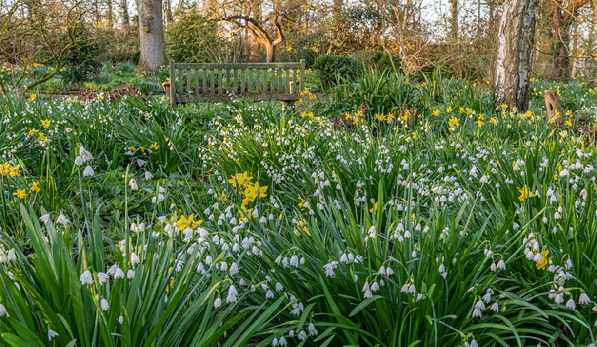 Spring Garden Tutorial