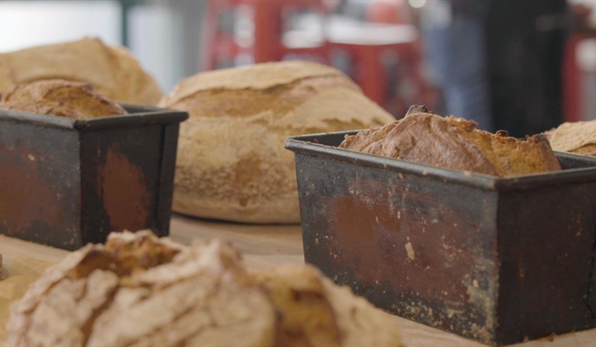 Sourdough Enthusiasts!