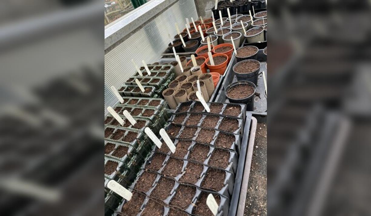 Propagation Workshop