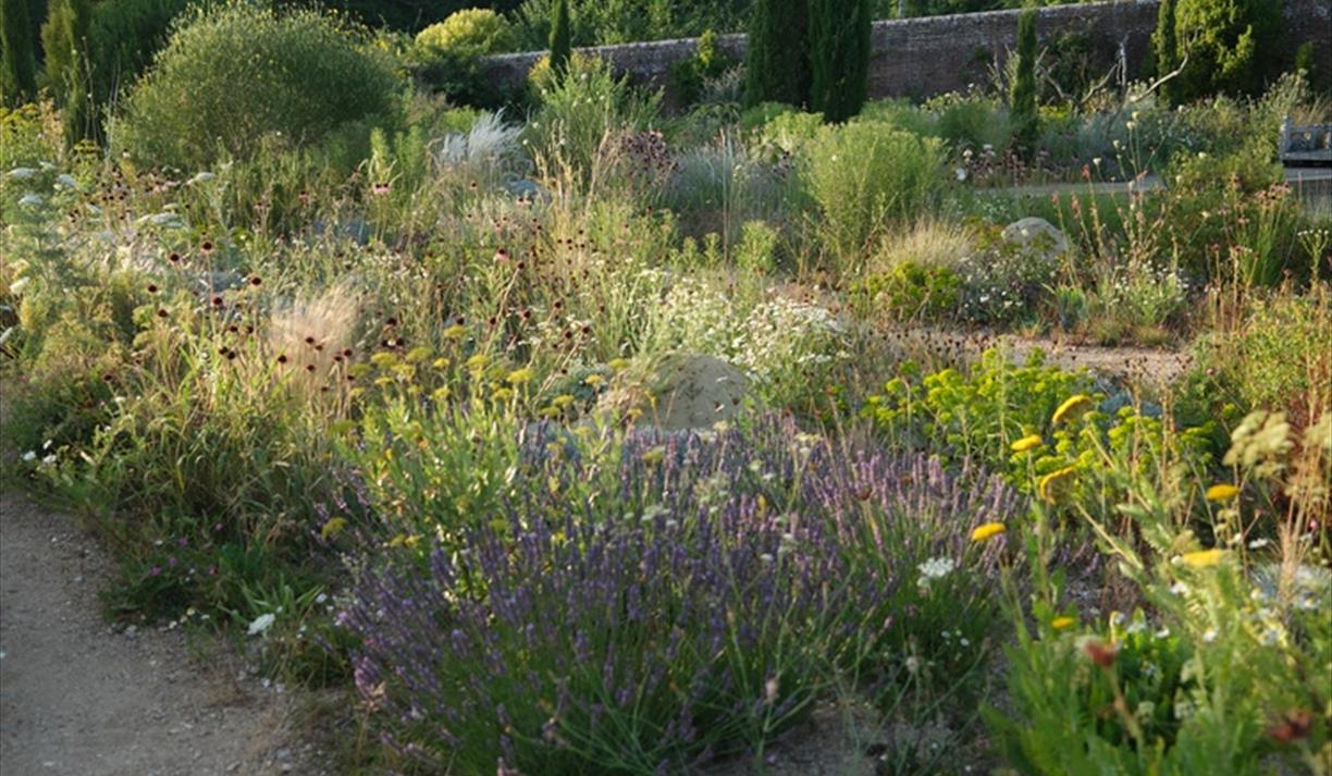 A Garden of Incredible Insects with Erica McAlister