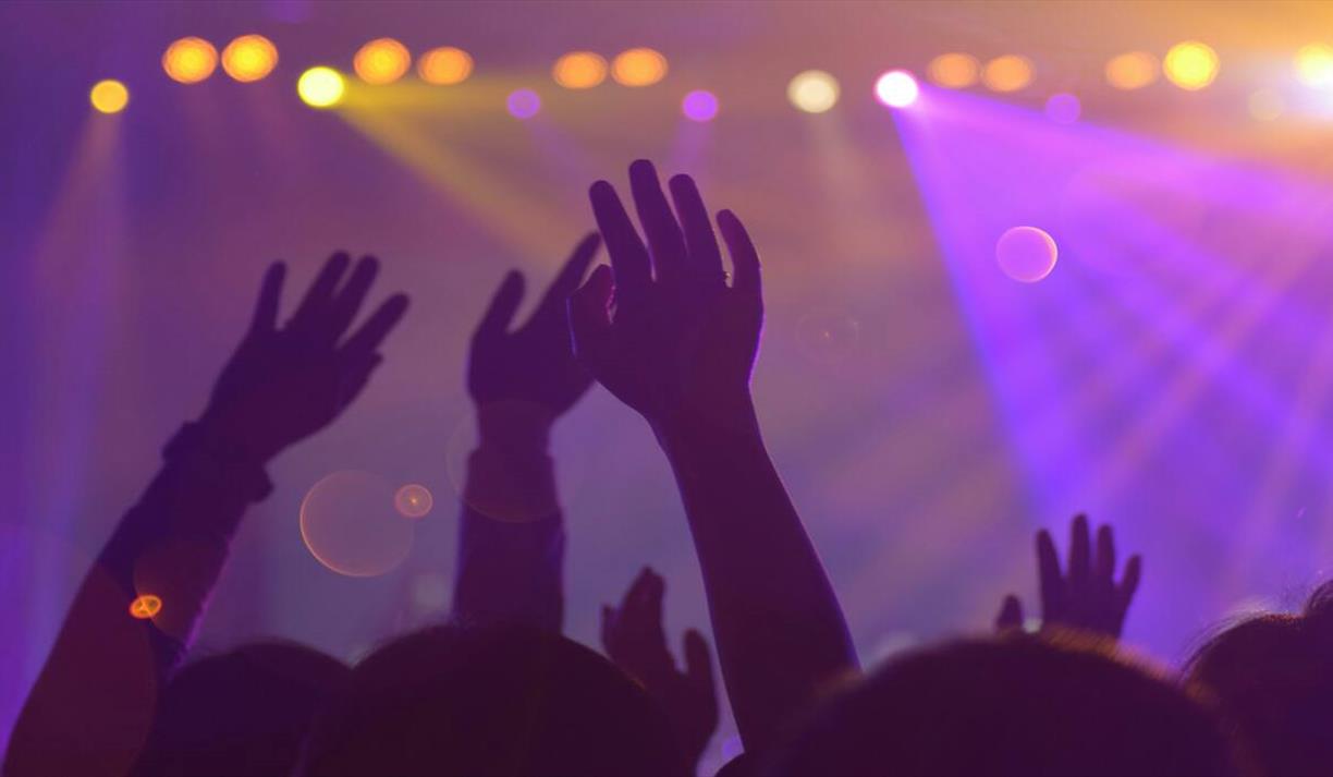 Silhouette of a crowd with raised hands at a concert