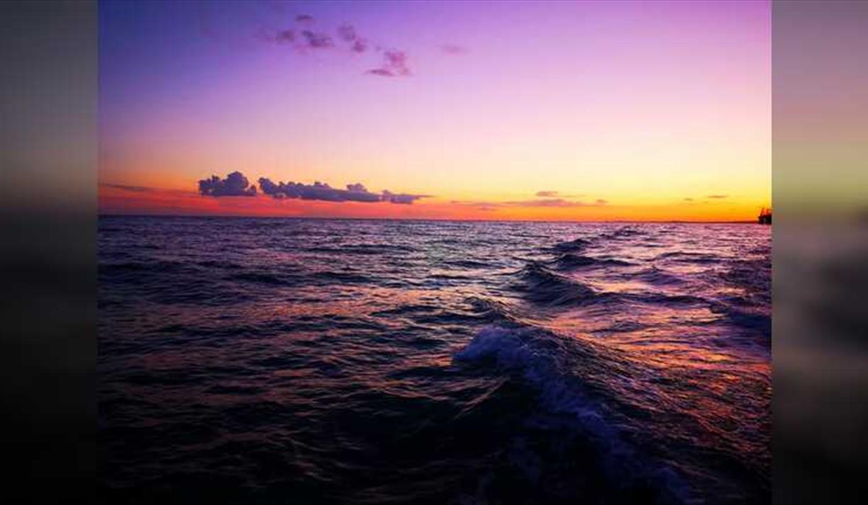 Brighton Sunset cruise with the Sussex Dolphin Project