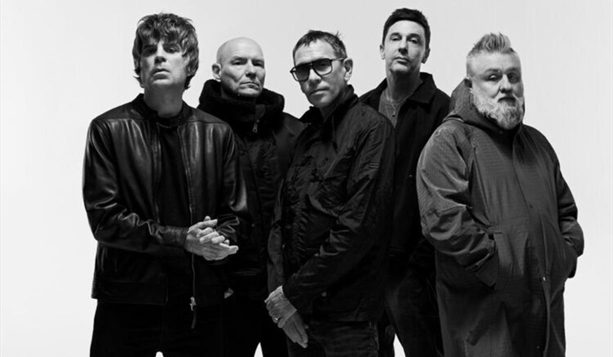 Shed Seven
