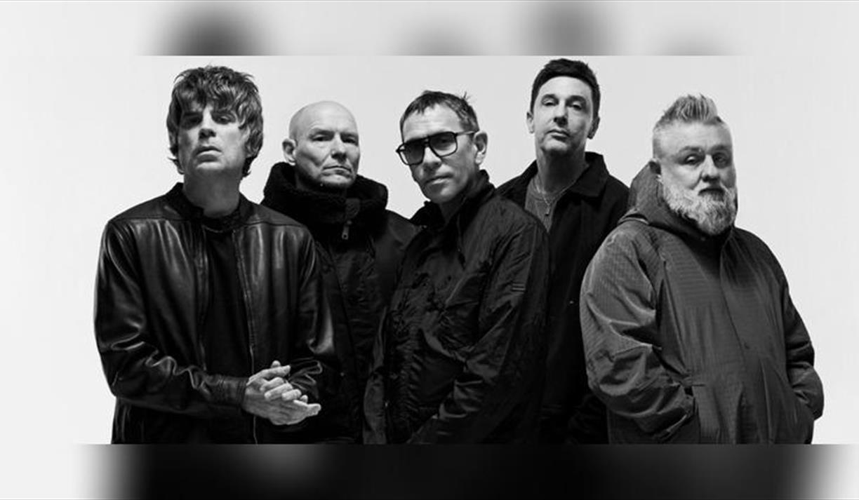 Shed Seven