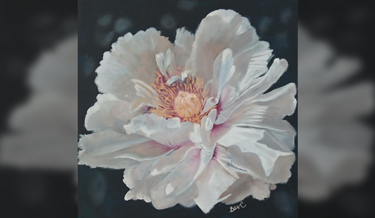 Tender Structures: Stem and Stitch