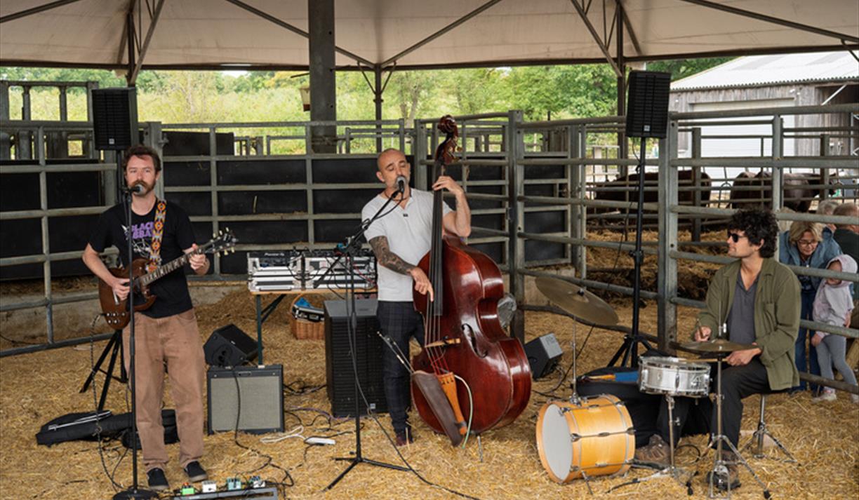 Trenchmore Late Summer Market