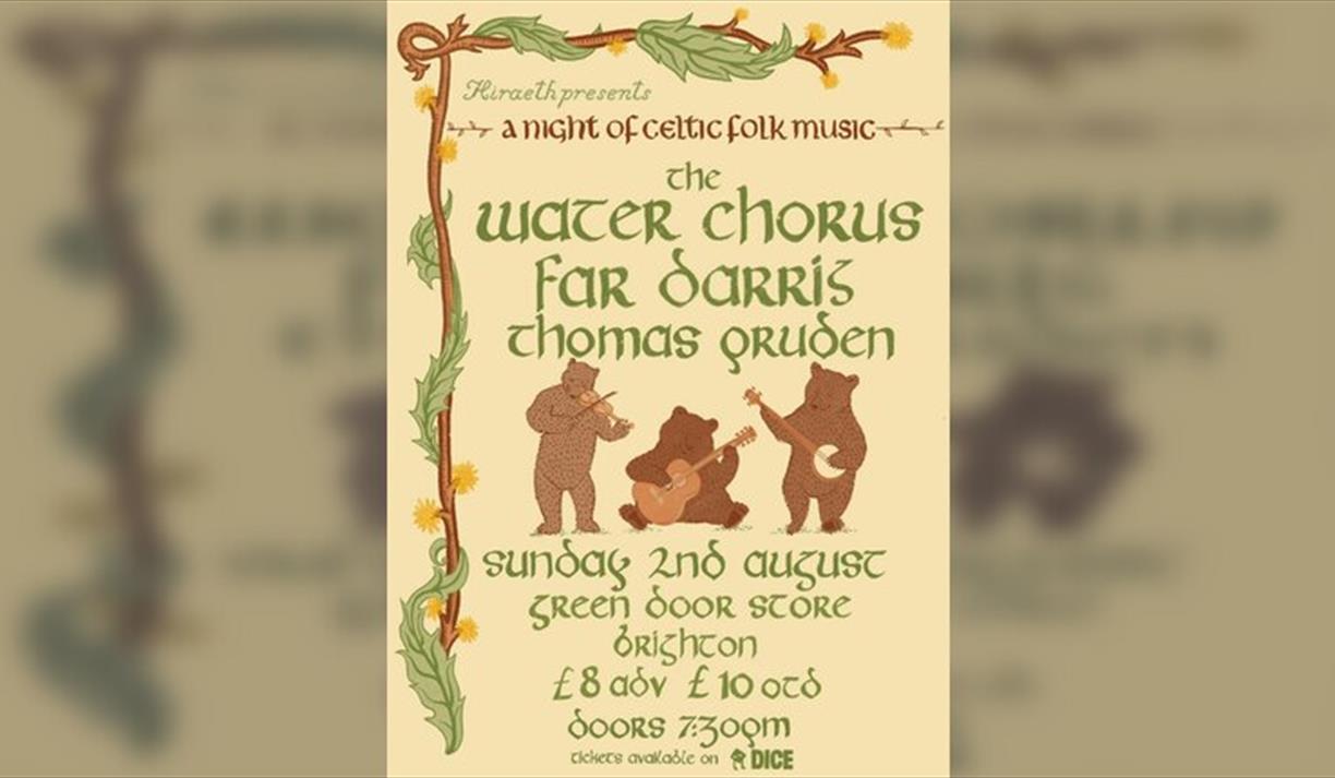A Night Of Celtic Folk Music