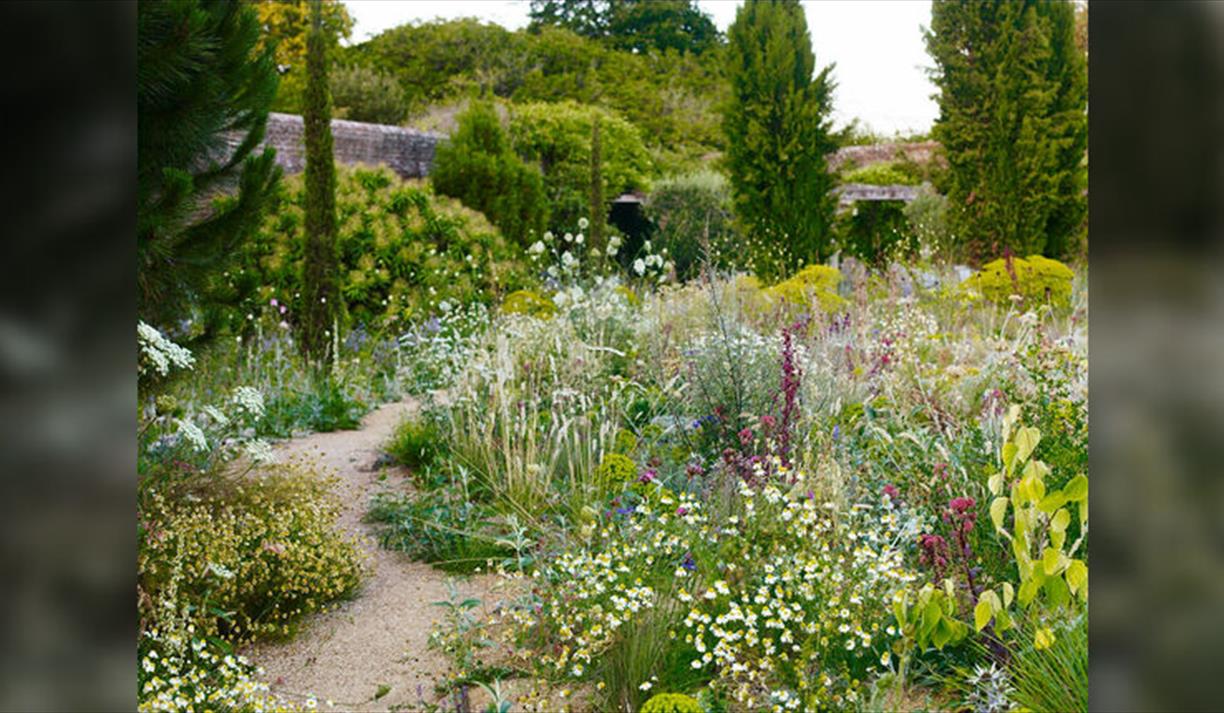Gardening a Wilder Garden Workshop