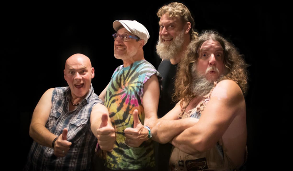 Hayseed Dixie