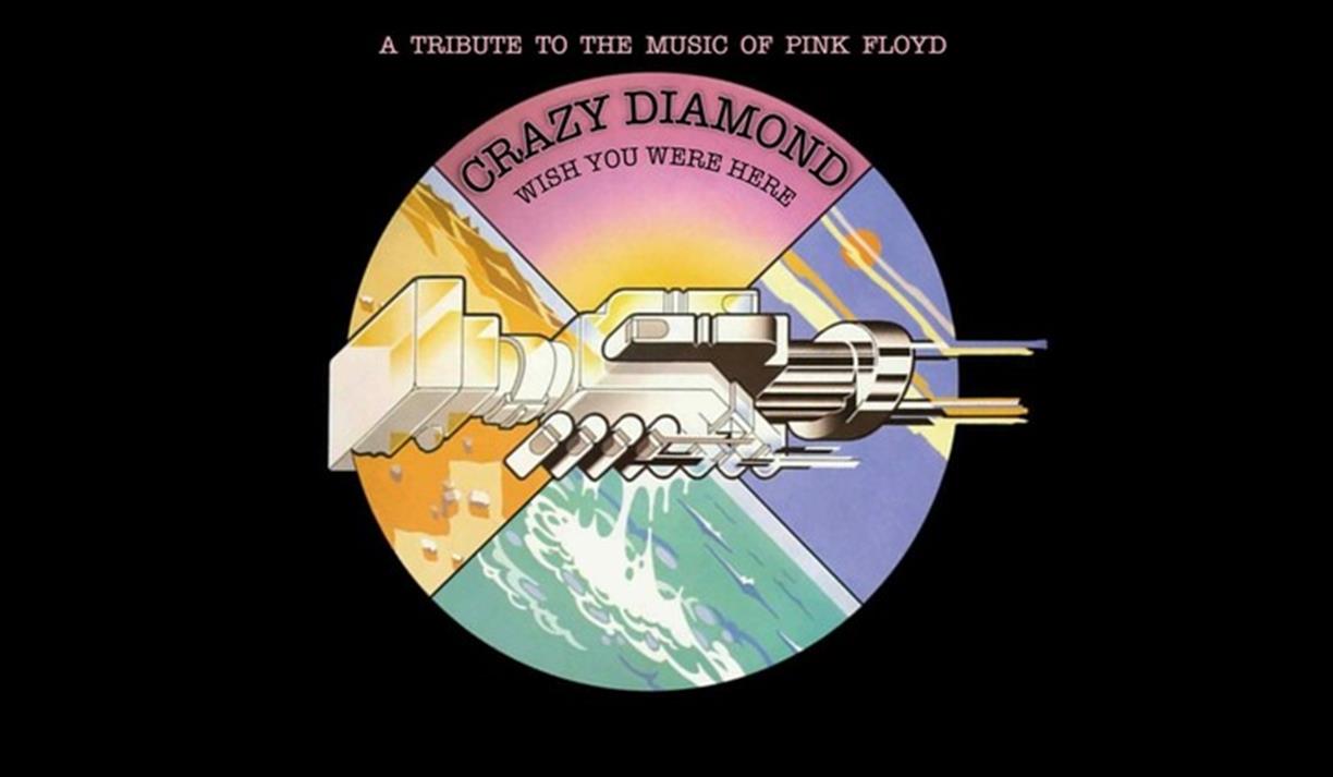 Pink Floyd by Crazy Diamond