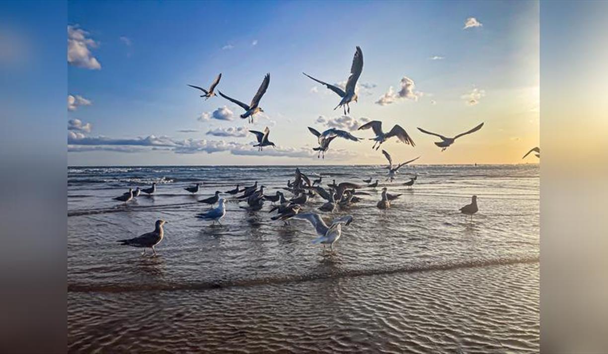 Free Mindful Photography Workshop with Eva Kalpadaki - Part of Photo Fringe 2026