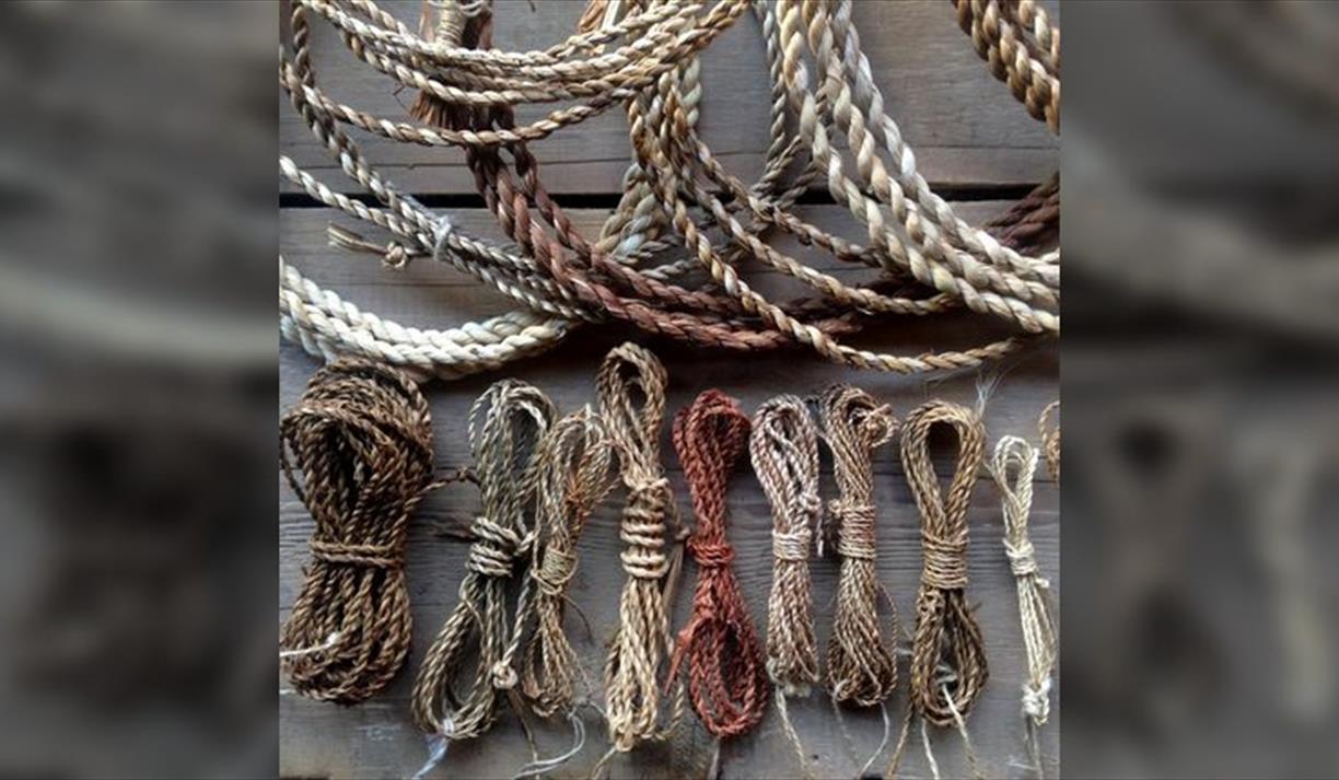Wild Cordage