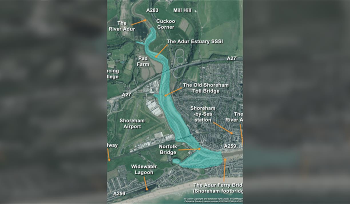 The Adur Estuary - a Site of Special Scientific Interest