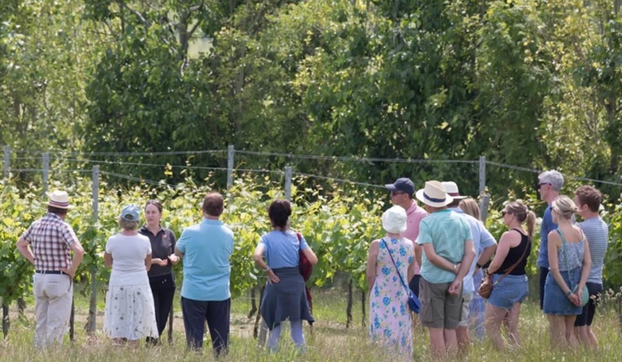 English Wine Week Tour