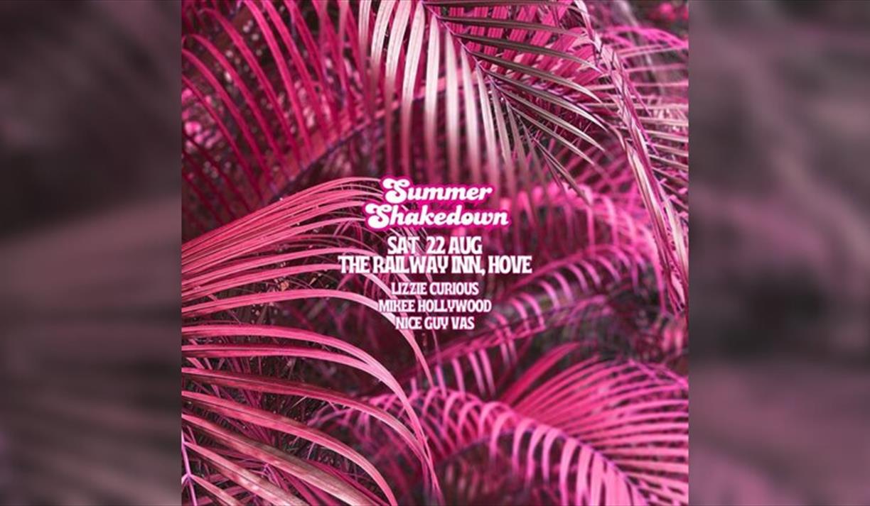 Summer Shakedown Sat 22nd Aug at Railway Inn