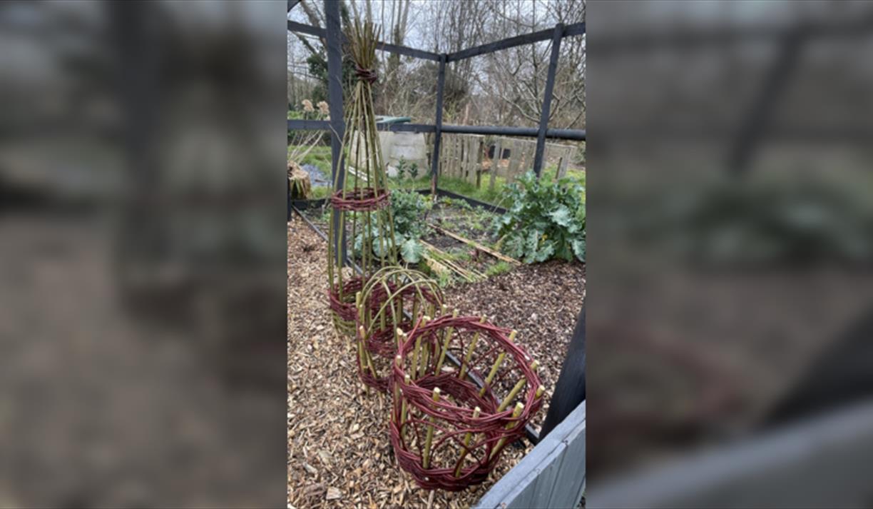 Make a woven plant support from locally harvested materials