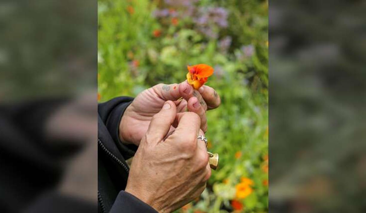 Foraging Walk & Talk with Craig Jordan-Baker