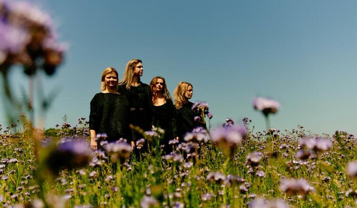 Chiaroscuro Quartet and Consone Quartet