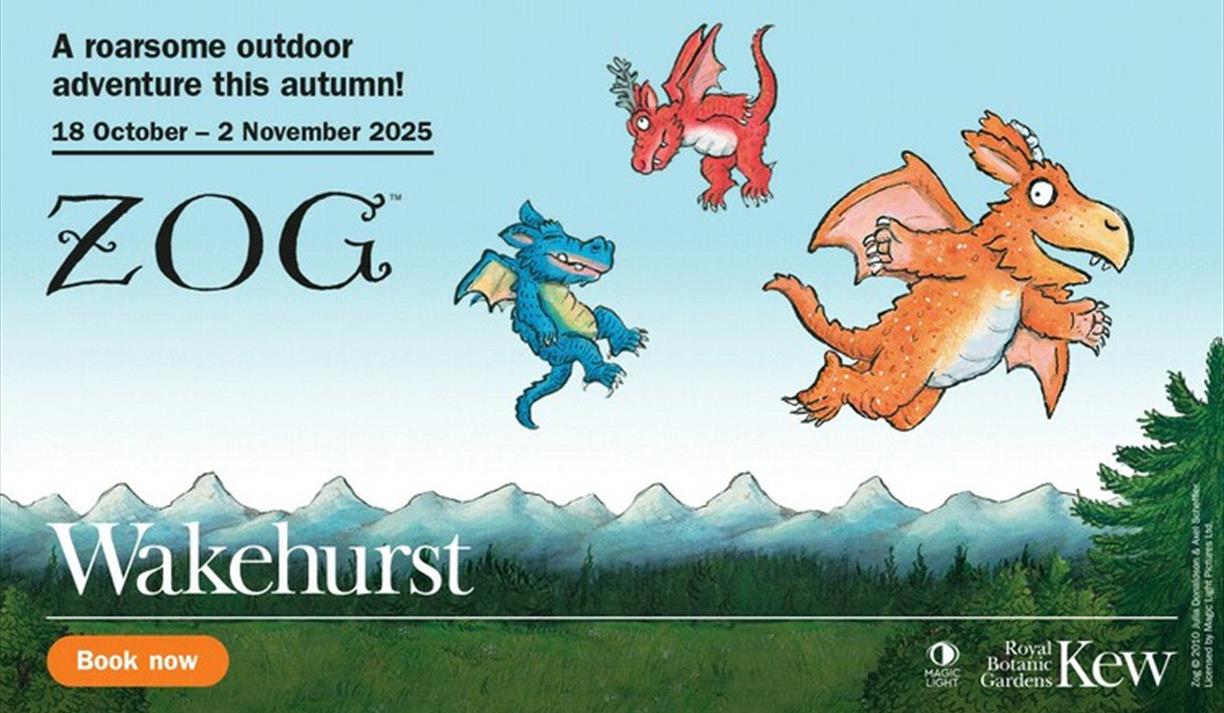 Zog