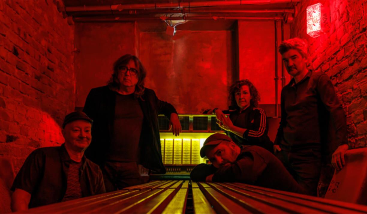 Magnetic Fields: 69 Love Songs 25th Anniversary Tour