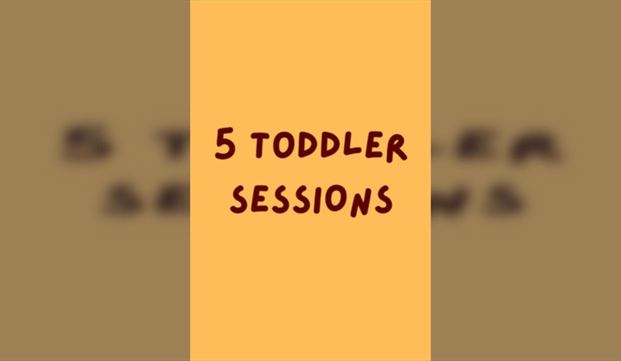 5 Toddler Sessions