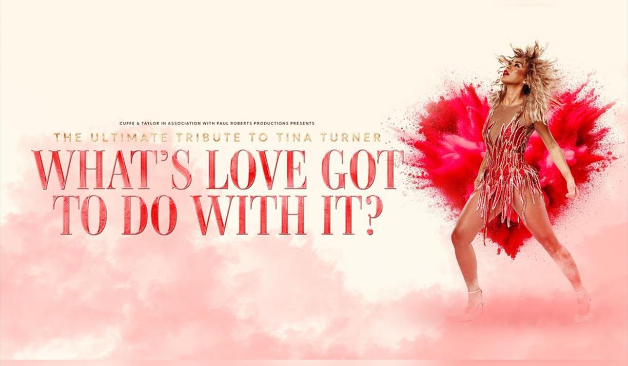 What's Love Got To Do With It?