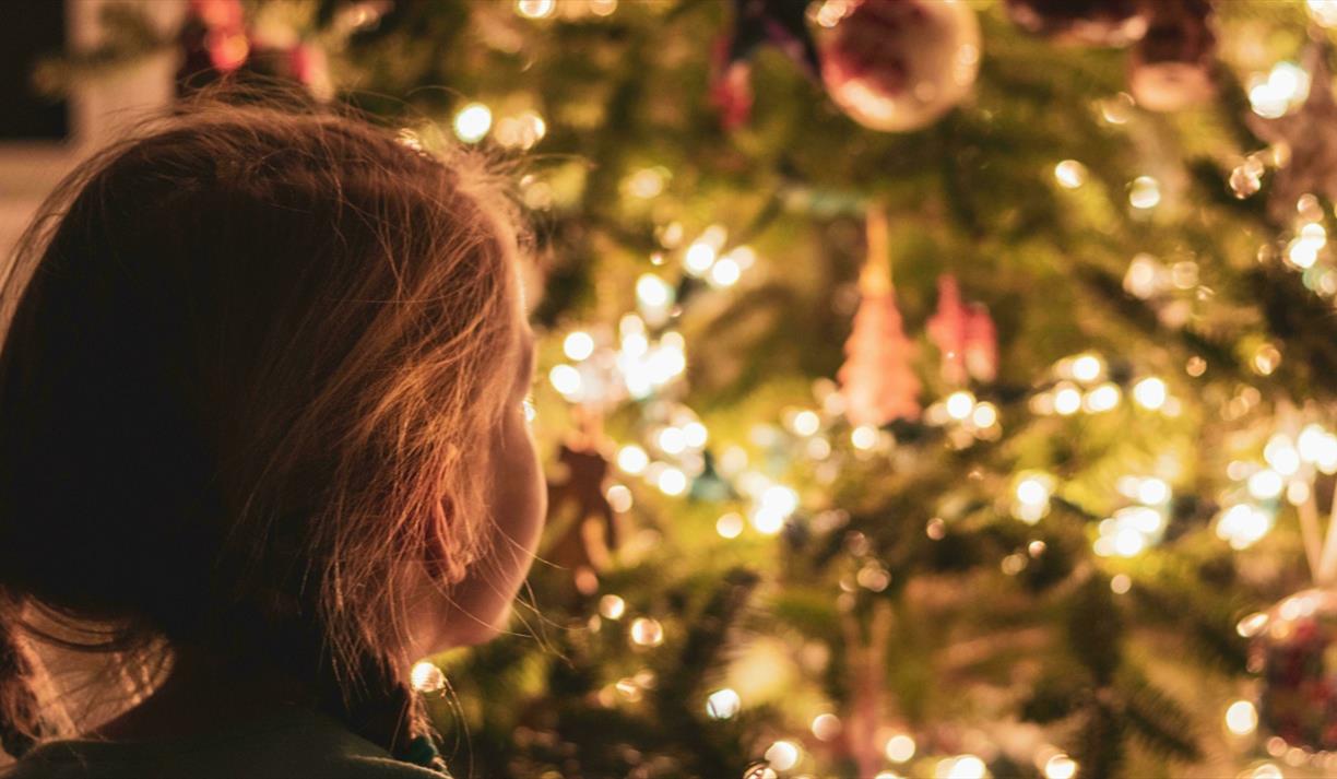 Young child looking at large indoor Christmas tree