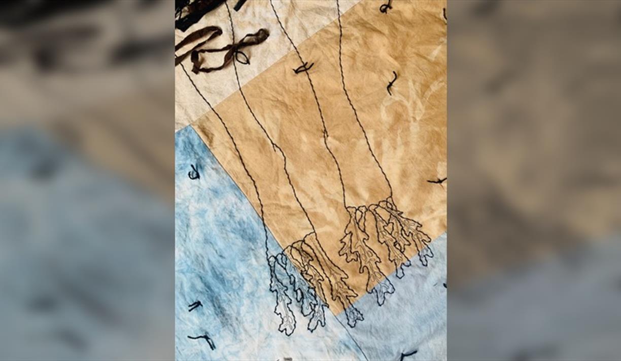 Sussex Bay Creates
