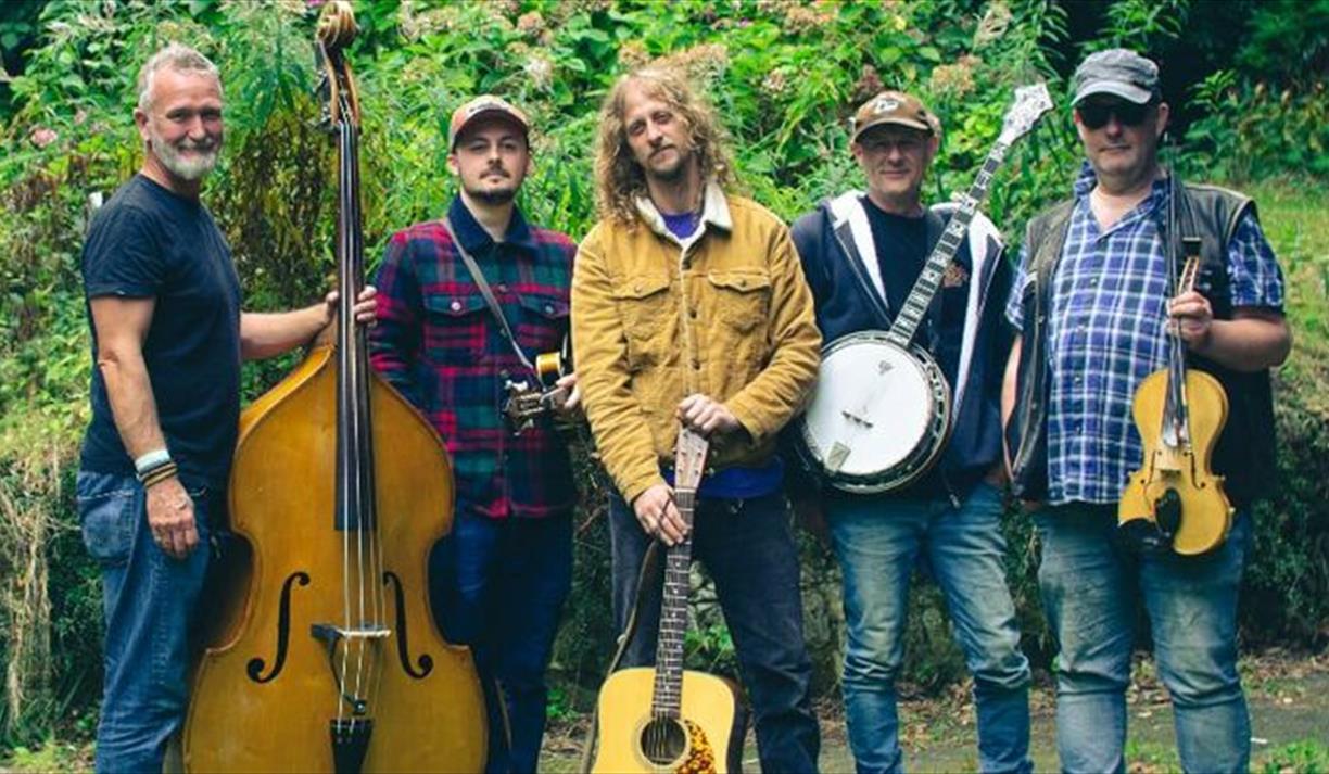 South Coast Stomp - Americana and Bluegrass