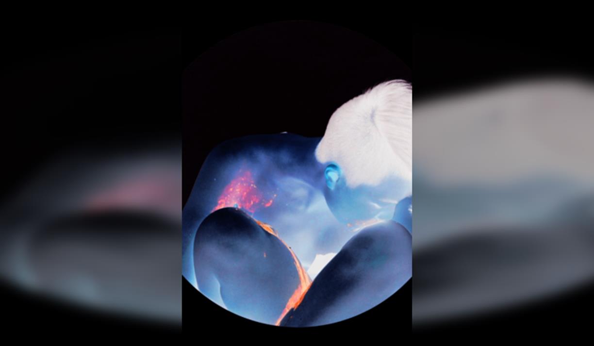 Art that Moves Conference, Sallis Benney Theatre, University of Brighton .00