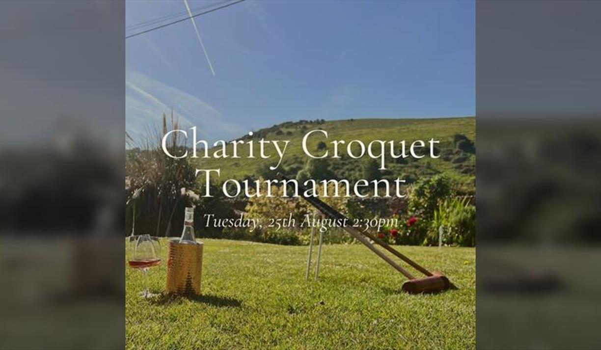 Charity Croquet Tournament