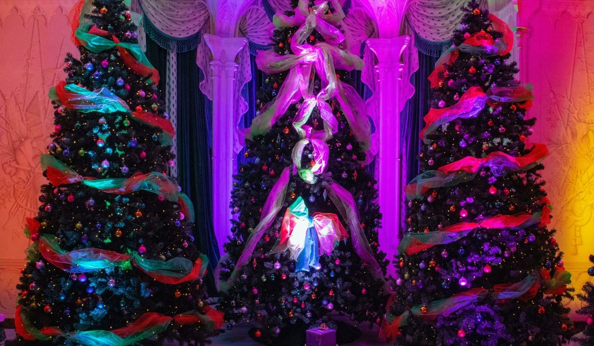 Three ornately decorated Christmas trees with presents