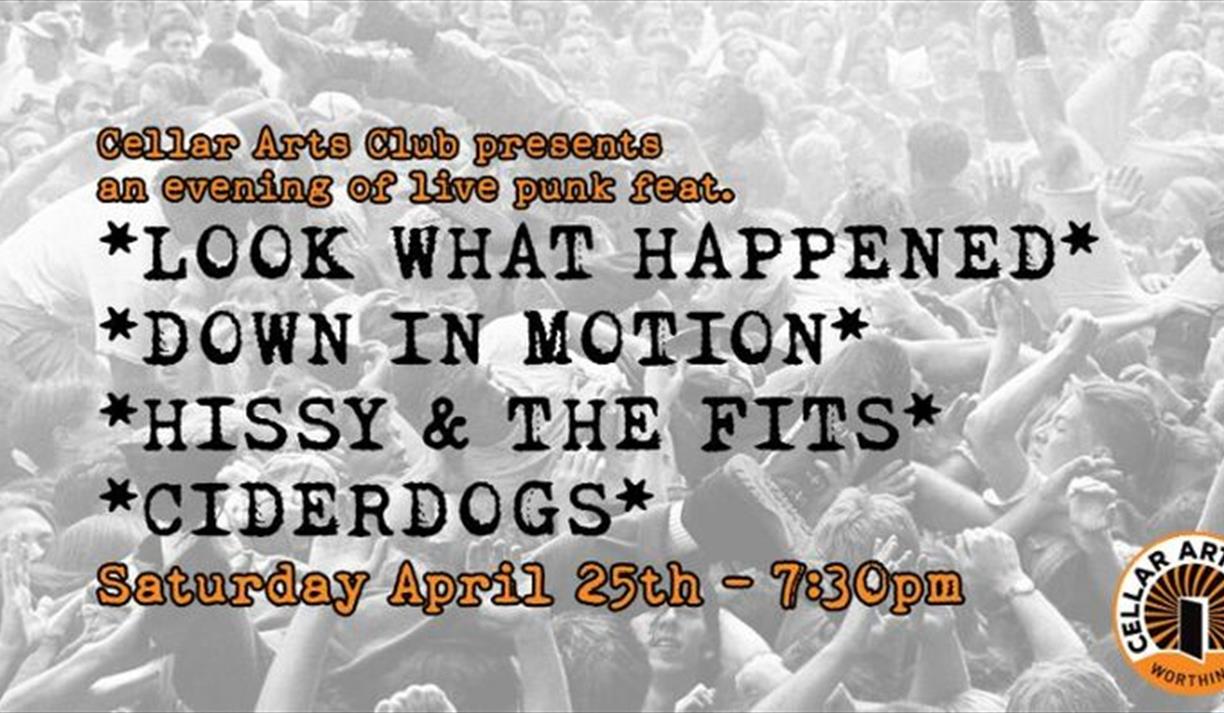 Cellar Arts Club Presents.... Live Local Alt + Punk!