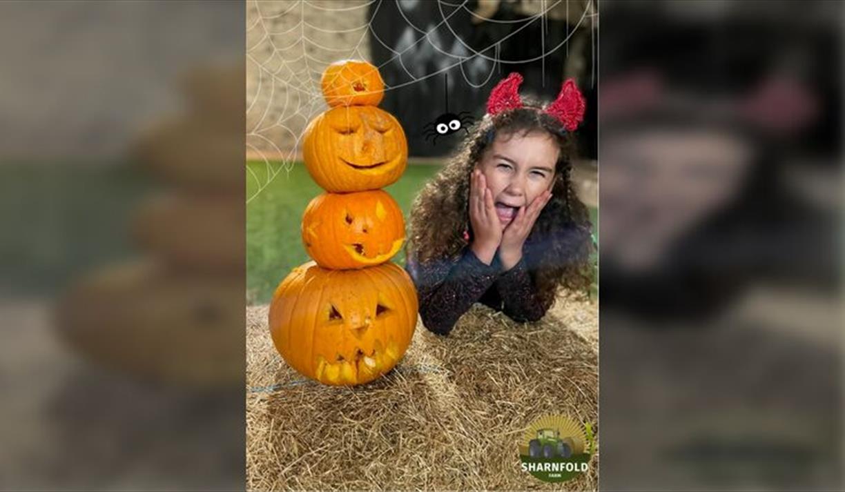 Halloween at Spookfold Farm