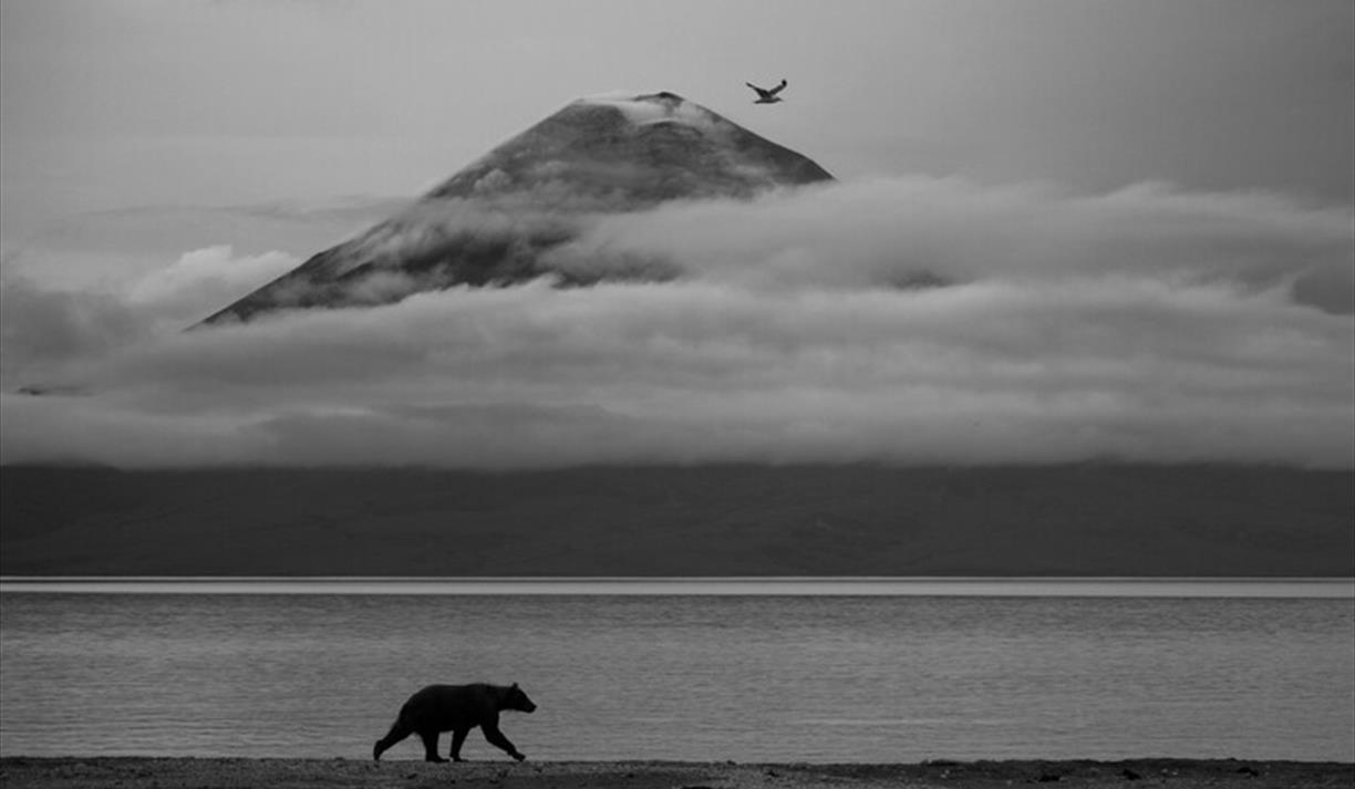Wildlife Photographer Of The Year