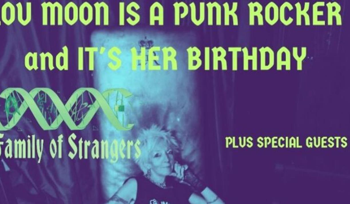Lou Moon is a Punk Rocker, Punk Show Family of Strangers Plus Punking Special Guests.