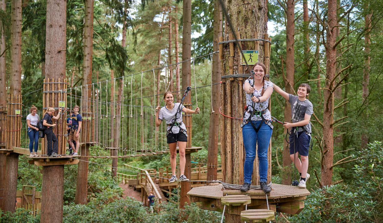 Go Ape Crawley