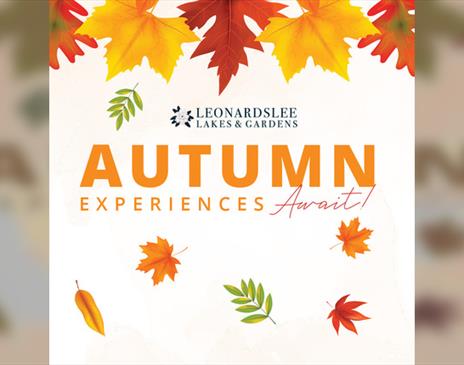 Autumn Workshops at Leonardslee Lakes & Gardens