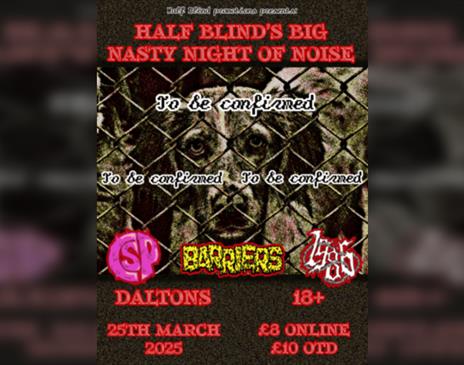 Half Blinds Big Nasty Night of Noise