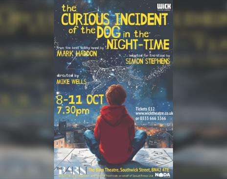 The Curious Incident of the Dog in the Night-Time