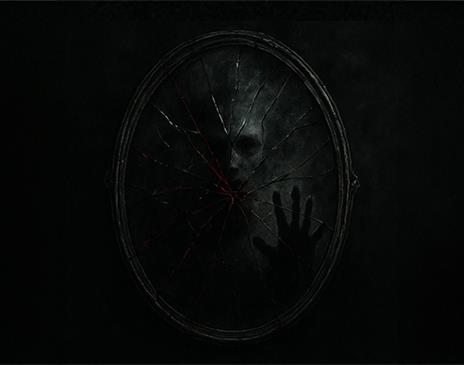 The Shadow in the Mirror