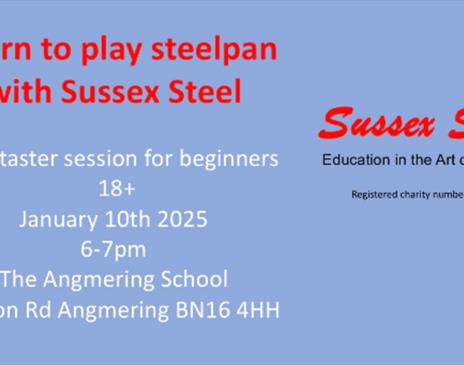 Adult beginners steelpan taster session