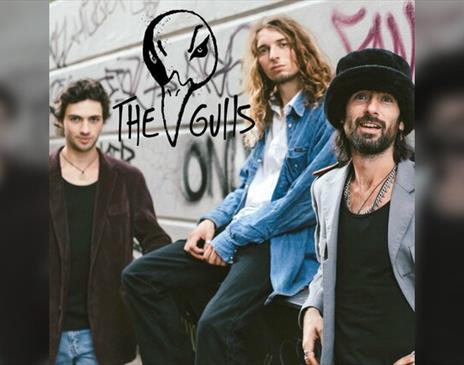 The Gulls x The Dead Reds