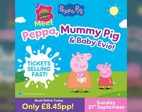 Meet Peppa, Mummy Pig and Baby Evie