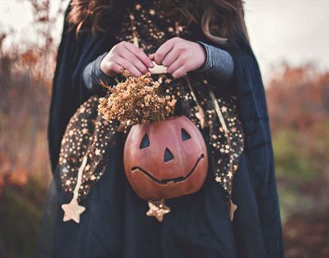 Young girl in witch costume holding a pumpkin container with flowers