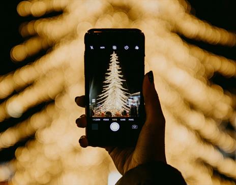 Person taking picture of golden tree lights