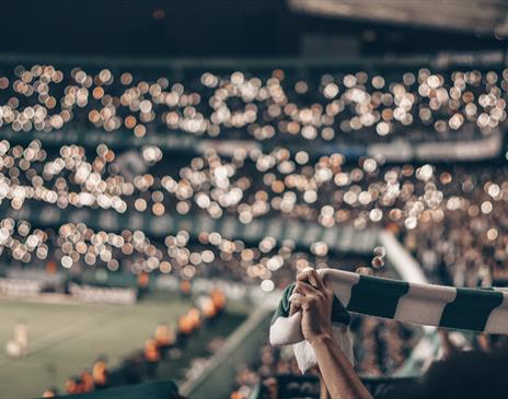 Fan holding green and white scarf at football game