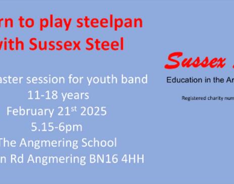 Sussex Steel Youth band steelpan taster session