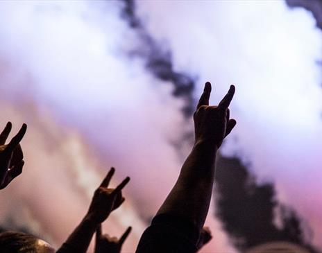 People at a concert making the sign of the horns hand gesture