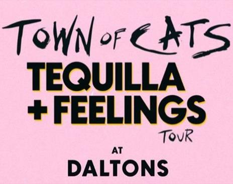 Town of Cats: Tequila + Feelings